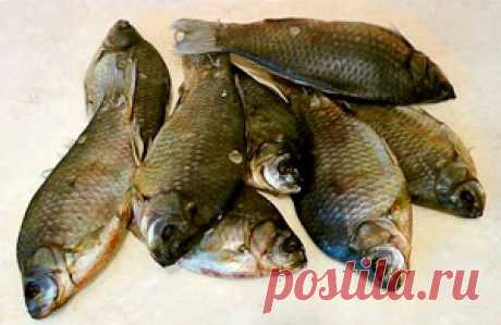 Рыбалка видео: Как солить карася для сушки и вяления