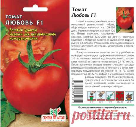 Семена овощей купить, сибирские селекция - Семена Алтая