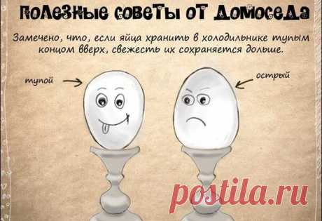 Подборка советов, которые пригодятся в быту. В картинках 
Полезные советы по дому


 




 
 

 

 

 

 

 

 

 

 

 

 

 

 

 

 

 

 

 
 
 
 
 
Источник
