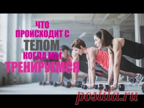 Зачем тренироваться? Влияние физических упражнений на наш организм