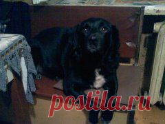 (58) Одноклассники