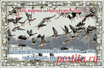 В день Никифоров скорее
Выходи весну встречать!
И снова тебе желаю
Свою жизнь сейчас начать!