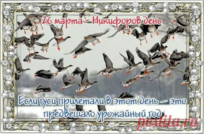 В день Никифоров скорее
Выходи весну встречать!
И снова тебе желаю
Свою жизнь сейчас начать!