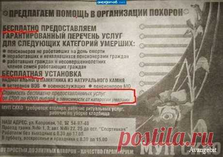 Прикольные и интересные фото 10