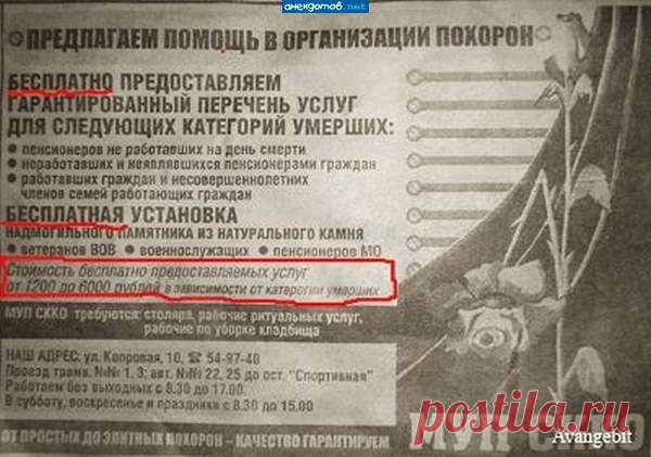 Прикольные и интересные фото 10