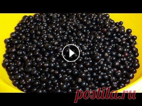 Так можно заготовить любые ягоды. БЕЗ ВАРКИ. Без сахара! ЗАГОТОВКА ЯГОДНОГО ПЮРЕ НА ЗИМУ | Хочу ТОРТ Заготовка черной смородины (без варки и без сахара). ►Дзен-канал (ПОДРОБНЫЕ ТЕКСТОВЫЕ РЕЦЕПТЫ С ФОТО И ВИДЕО) ►Группа ВКонтакте ►Ваши ФОТО ОТЗЫВЫ ►Тел...