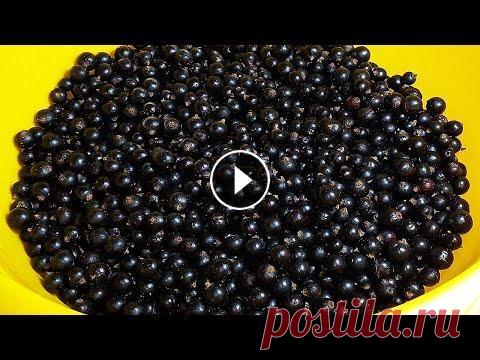 Так можно заготовить любые ягоды. БЕЗ ВАРКИ. Без сахара! ЗАГОТОВКА ЯГОДНОГО ПЮРЕ НА ЗИМУ | Хочу ТОРТ Заготовка черной смородины (без варки и без сахара). ►Дзен-канал (ПОДРОБНЫЕ ТЕКСТОВЫЕ РЕЦЕПТЫ С ФОТО И ВИДЕО) ►Группа ВКонтакте ►Ваши ФОТО ОТЗЫВЫ ►Тел...