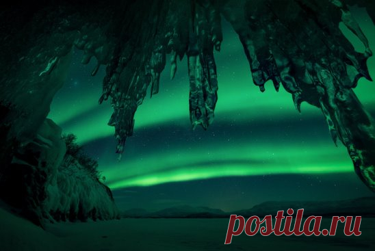 i (548×367)