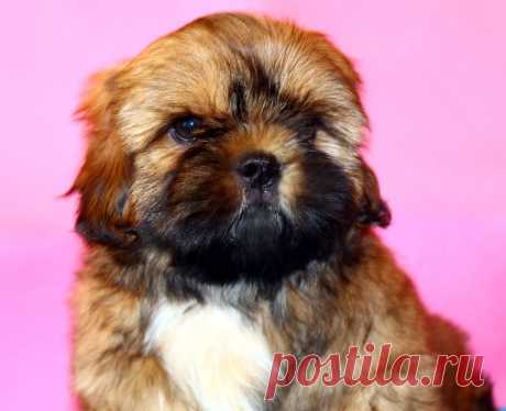 (37) Светлана Михайлова