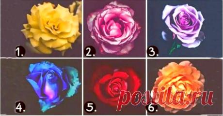 Тест: Выберите самую красивую розу, и мы отгадаем ваш характер
Здравствуйте Уважаемые подписчики и гости канала. Для Вас мы приготовили еще один интересный психологический тест по картинкам. Кто не любит розы? Они нравятся всем! А мы приготовили для Вас простой тест, в котором Вам нужно выбрать самый красивый на ваш взгляд цветок, а мы расскажем об особенностях личности. — — — — — — Результаты […]
Читай дальше на сайте. Жми подробнее ➡