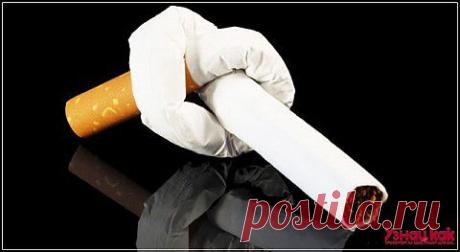 Как бросить курить за день? - "Хитрости Жизни" - nkl53@mail.ru - Почта Mail.Ru