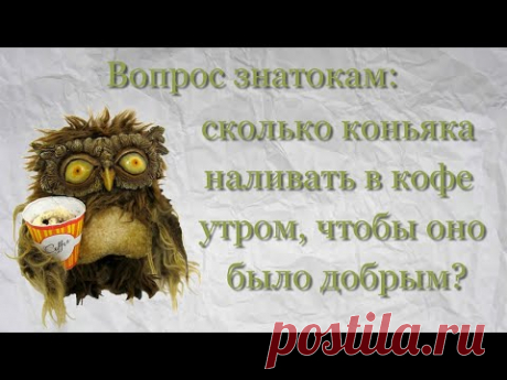 Доброе утро. Хорошего дня. Заряжаемся позитивом. Юмор - YouTube