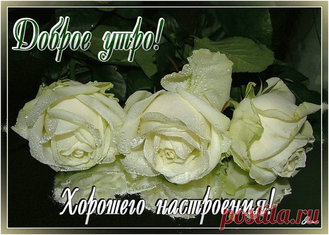 Доброе утро,хорошего настроения!!