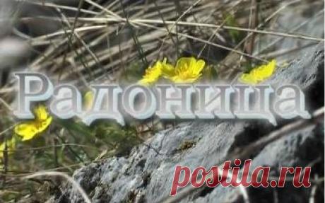 Радоница 2015 приметы | Велемудр