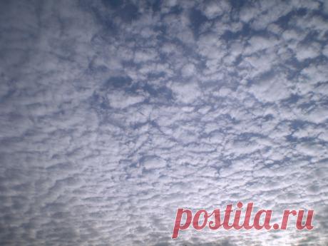 Осень, небо...