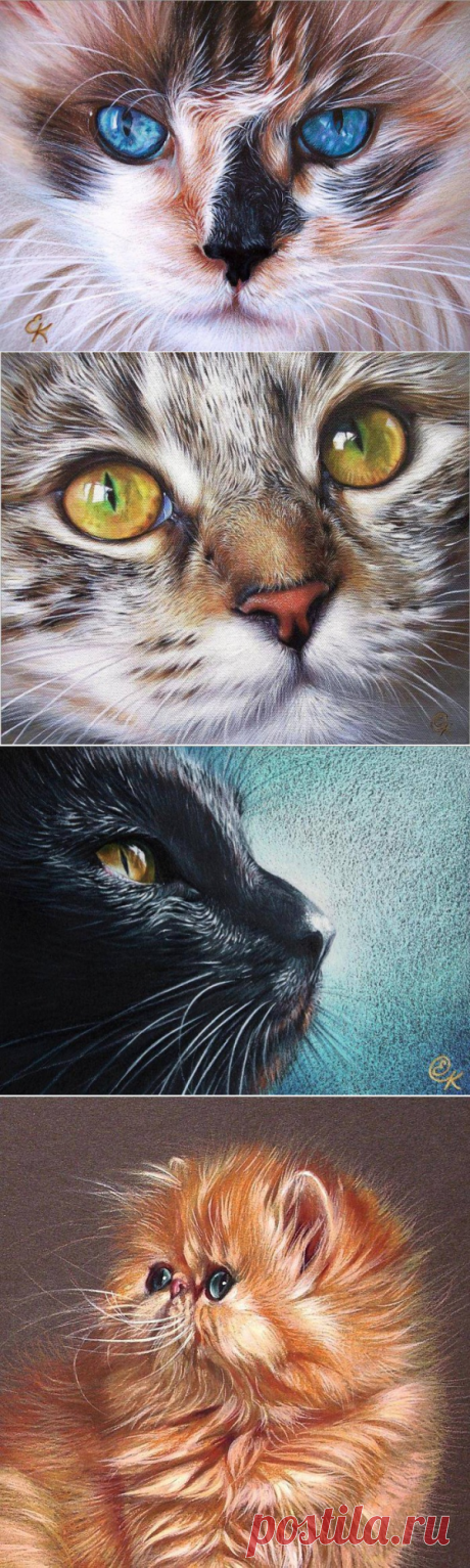 Художник Elena Kolotusha|Мокрый кошачий нос