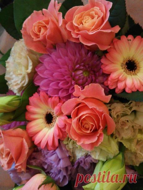 флористика