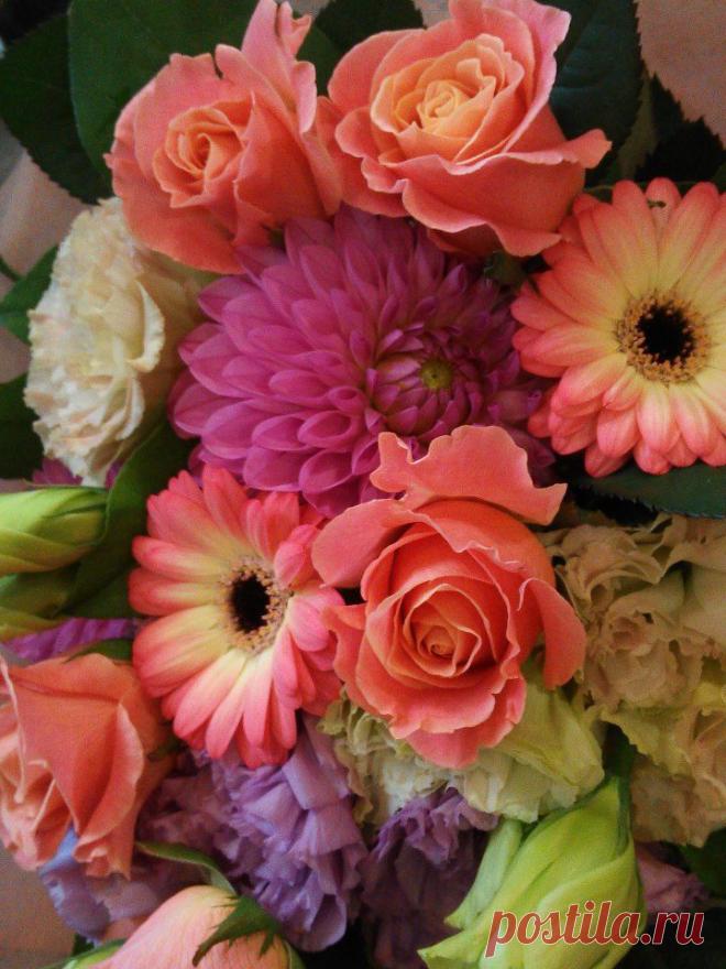 флористика