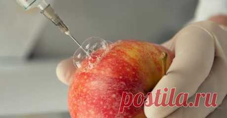 Продукты, от которых мы рекомендуем отказаться полностью, а стоит ли это делать решать Вам