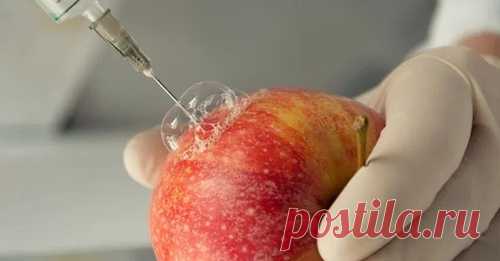 Продукты, от которых мы рекомендуем отказаться полностью, а стоит ли это делать решать Вам