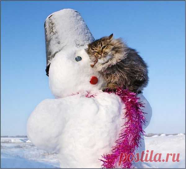 Мой Мир@Mail.Ru