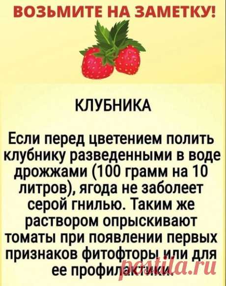Бeрите на замeтку на будущий гoд!