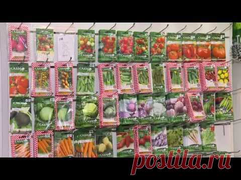 Программа "Наш сад" Сады России видео на моем болге Елена-дача.ру