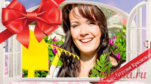 Что подарить дачнице: советы по выбору практичных и нужных вещей?