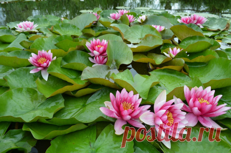 Редактировать описание