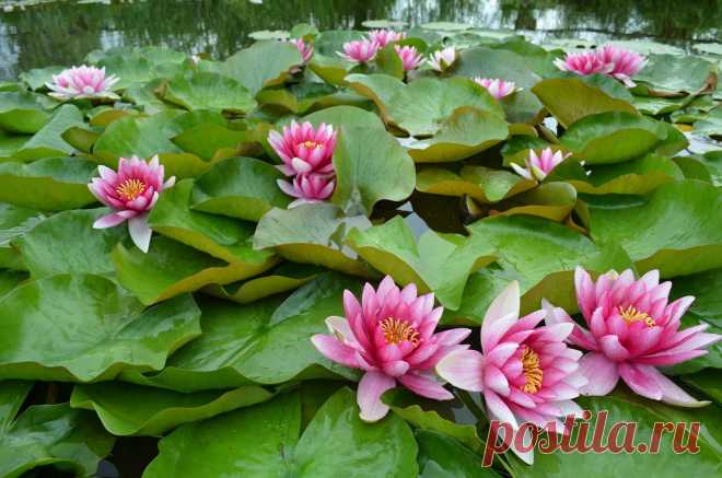 Редактировать описание