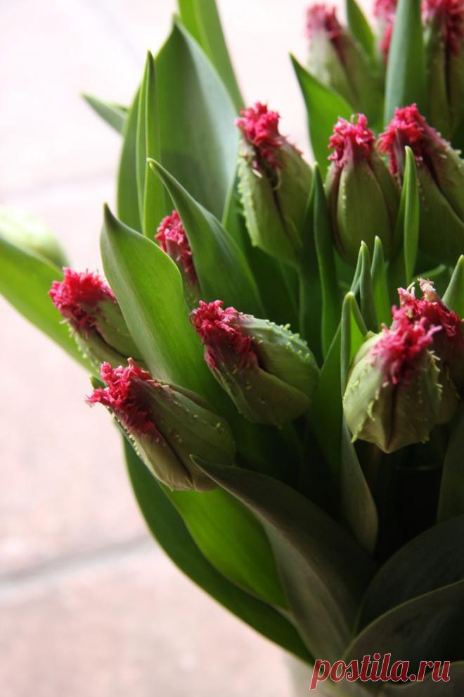 Найдено на сайте Uploaded by user.