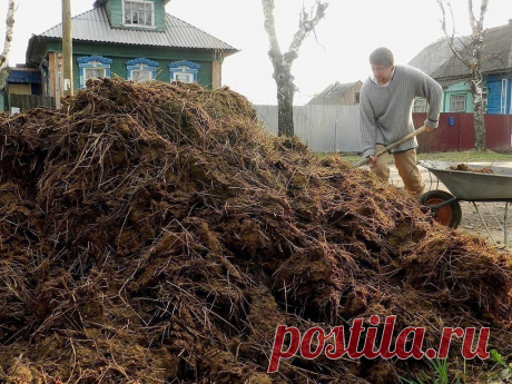 Всё про удобрения и подкормки. Минеральные и органические. 

источник Моя дача
 

 







Всё про удобрения и подкормки. Минеральные и органические. Любой садовод знает: чтобы получить хороший урожай, растения нужно вдоволь кормить. Но чем? Многие считают, ч…