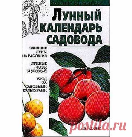 Влияние Луны на рост и развитие растений. Лунный календарь. Часть2 | ДОСТОЙНАЯ ЖИЗНЬ НА ПЕНСИИ