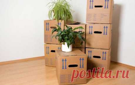 Крупнейшие британские компании грозят стране переездом | МК - Лондон