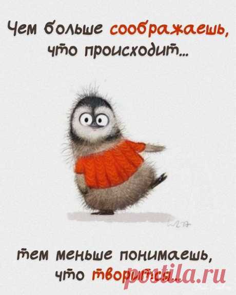 Чем больше соображаешь, что происходит (Открытка 975): Бесплатные картинки &amp;#8226; Otkrytki.Top