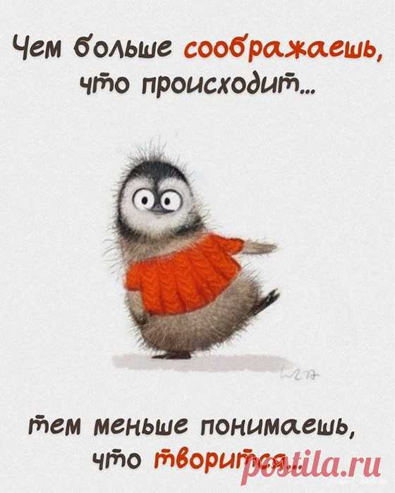 Чем больше соображаешь, что происходит (Открытка 975): Бесплатные картинки &#8226; Otkrytki.Top