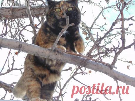 Светлана я так лучше выгляжу? | KotoMail.ru