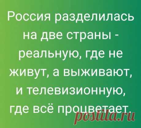 Прикольные высказывания, анекдоты и байки. Смешные надписи на картинках