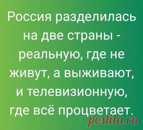 Прикольные высказывания, анекдоты и байки. Смешные надписи на картинках