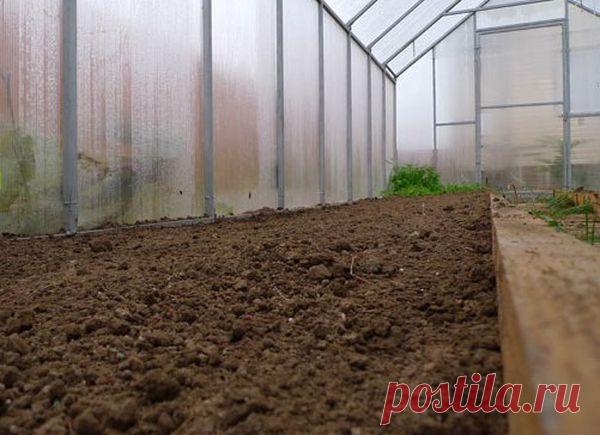 Обработка  теплицы осенью от вредителей и болезней пошагово