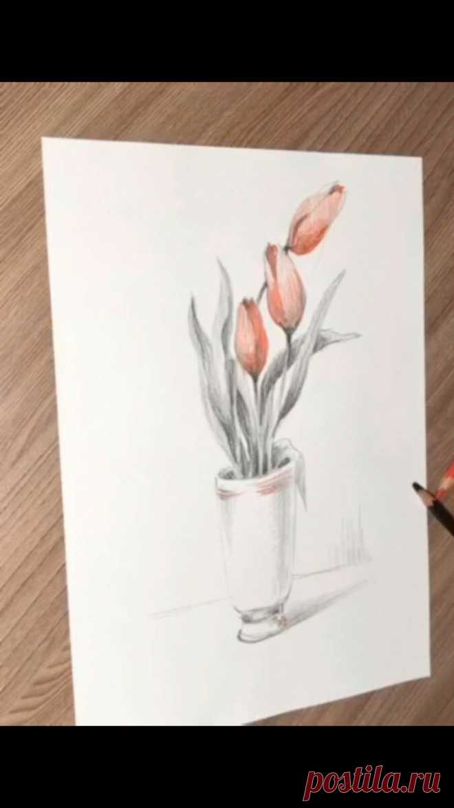 Видео урок: как нарисовать тюльпан простым карандашом.