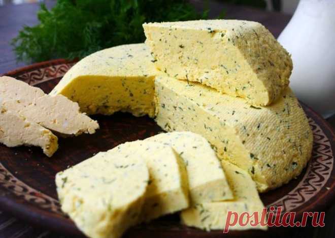 (51) Домашний сыр - в миллион раз вкуснее, полезнее магазинного :) - пошаговый рецепт с фото. Автор рецепта Olga Matvii . - Cookpad