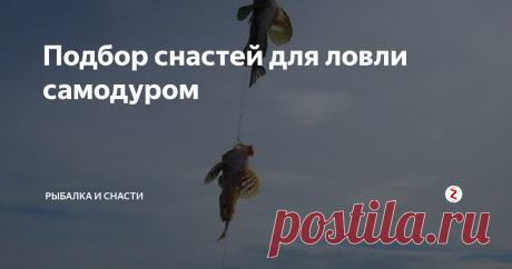 Подбор снастей для ловли самодуром Для рыбалки используется короткий надежный удильник, оснащаемый качественной катушкой. В качестве основной лески подойдет 0.15-0.16 мм. К ней же крепят небольшой груз, шаровидной или каплевидной формы. Выше этого груза расположена гирлянда из 9-10 уловистых мормышек или разного рода мушек. Их вяжут напрямую к основной леске, но вполне возможно крепить приманки и с помощью коротких поводков 4-5 см.