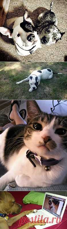 (4) Facebook