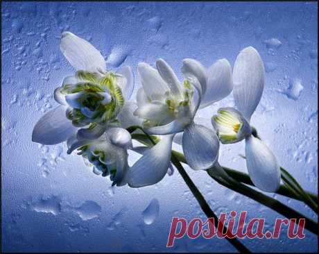 Ирина Юнина