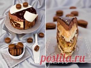 Шоколадно-муссовый торт | Самый вкусный портал Рунета