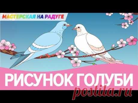 Как нарисовать голубей