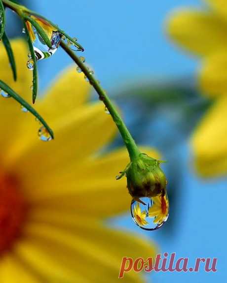 (345) Pinterest