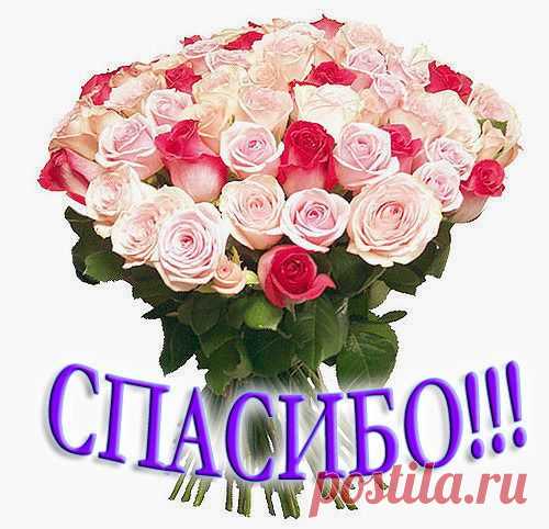 открытки спасибо большое  10 - clipartis Jimdo-Page! Скачать бесплатно фото, картинки, обои, рисунки, иконки, клипарты, шаблоны, открытки, анимашки, рамки, орнаменты, бэкграунды