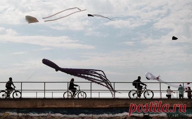 Эксперты предрекли экономике США «плавную посадку». Несмотря на растущие риски вероятности рецессии в США, что стало причиной обвала фондовых рынков, экономисты все еще ожидают «мягкой посадки» американской экономики, роста ВВП и снижения процентной ставки, пишет FT